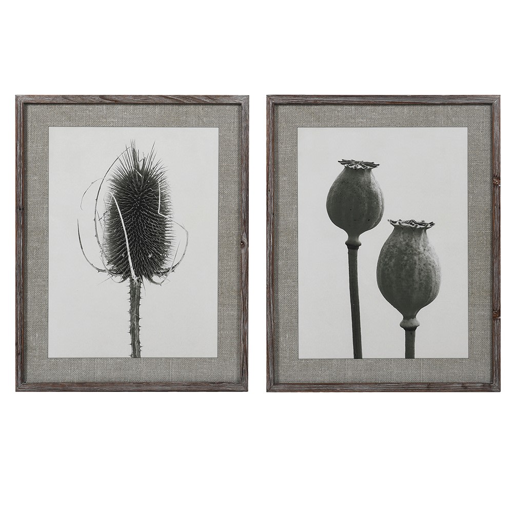 Wall Art . Set of 2 Poppy and Teasel