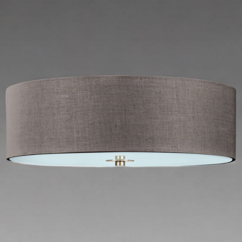 Renard Ceiling light dark Grey Ireland