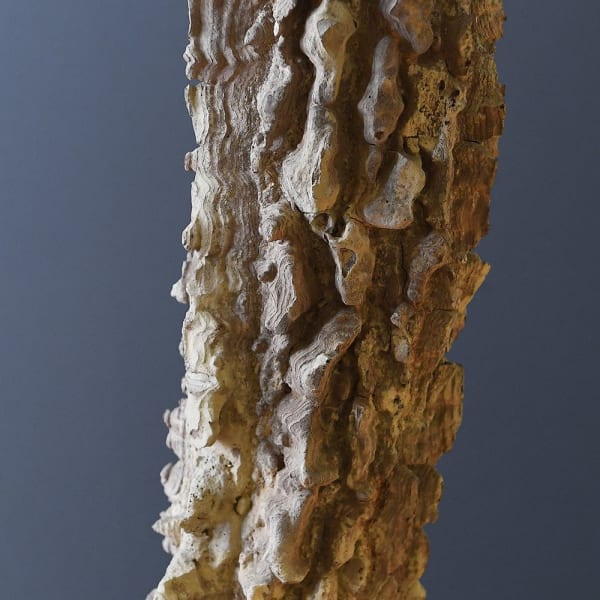 Driftwood Heritage Floor Lamp Cork