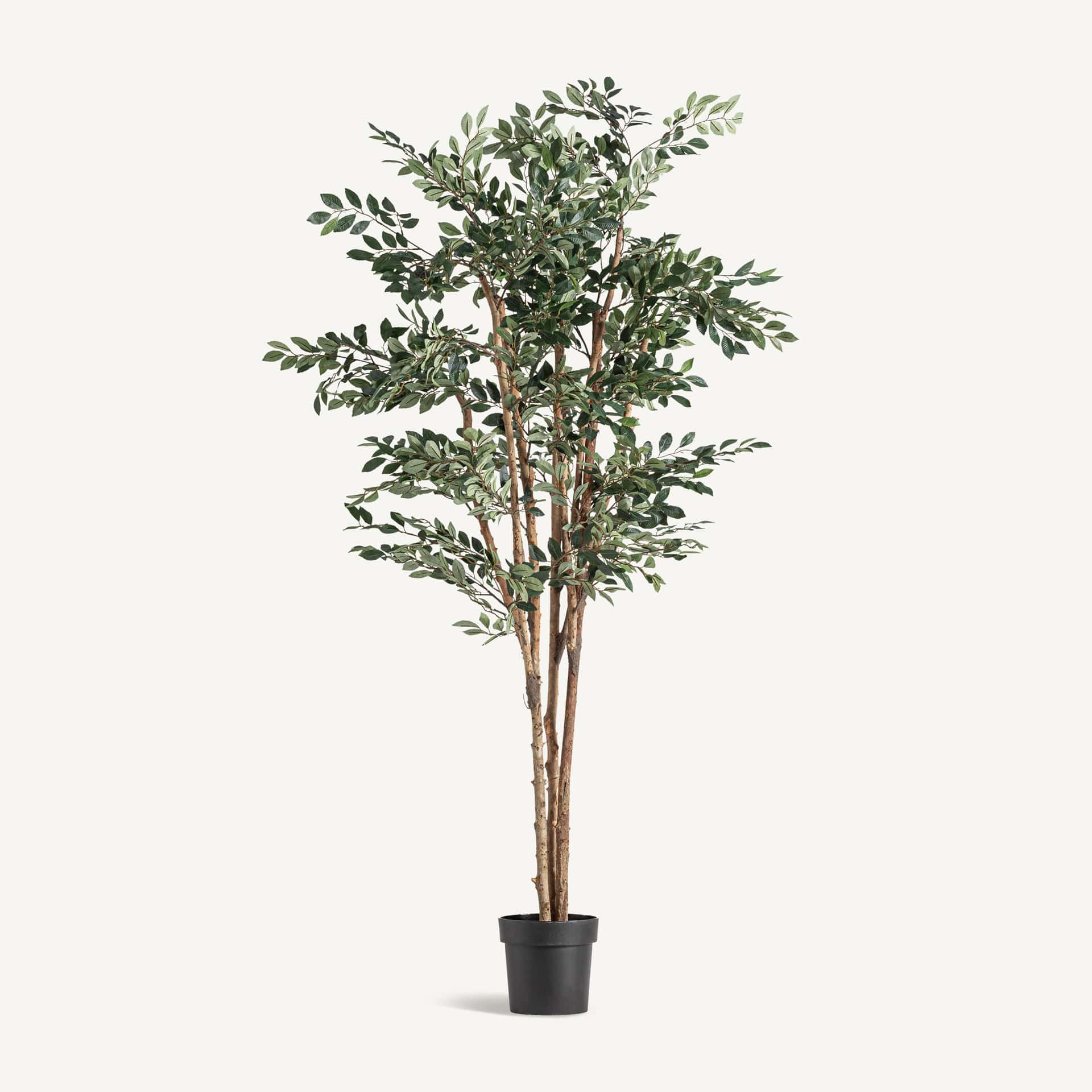 Tuscany Artificial Ficus plant