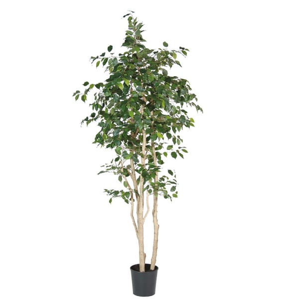 Artificial Ficus Tree